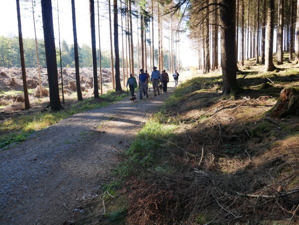 Herbstwanderung 2018 - 3